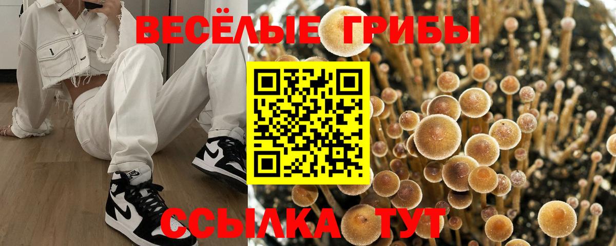 где купить наркотик  Вход с VPN  Воскресенск  Галлюциногенные грибы MAGIC MUSHROOMS 